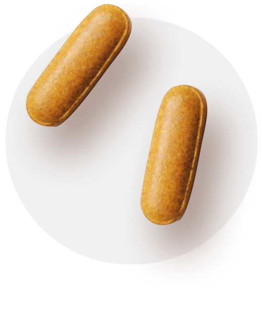 Fettblocker-Pillen-Therapie